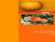 Tablet Screenshot of n2citrus.com